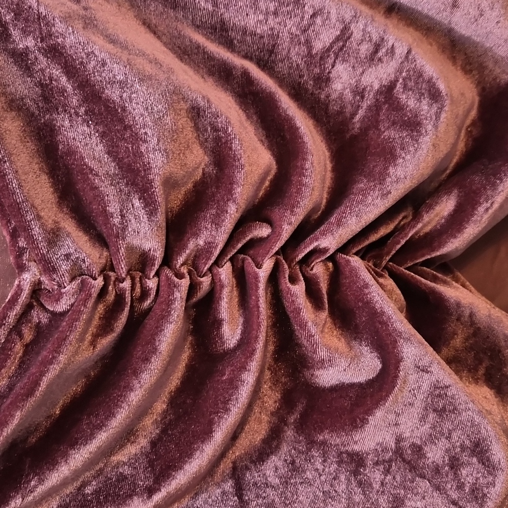 Velvet Ruched Long Sleeve Mini Top - Picture 4 of 5